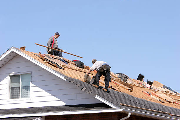 Best Siding  in Aspen, CO